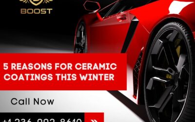 5 Reasons for Ceramic Coatings This Winter