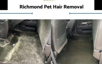 Are you Looking for Pet Hair Removal in Richmond?