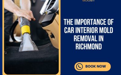 The Importance of Car Interior Mold Removal in Richmond