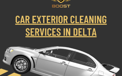 Car Exterior Cleaning Services in Delta