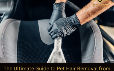 The Ultimate Guide to Pet Hair Removal from Your Car in Richmond