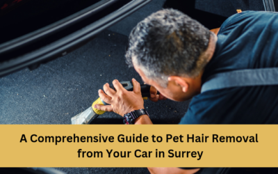 A Comprehensive Guide to Pet Hair Removal from Your Car in Surrey