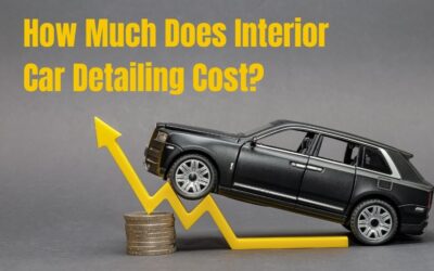 How Much Does Interior Car Detailing Cost?