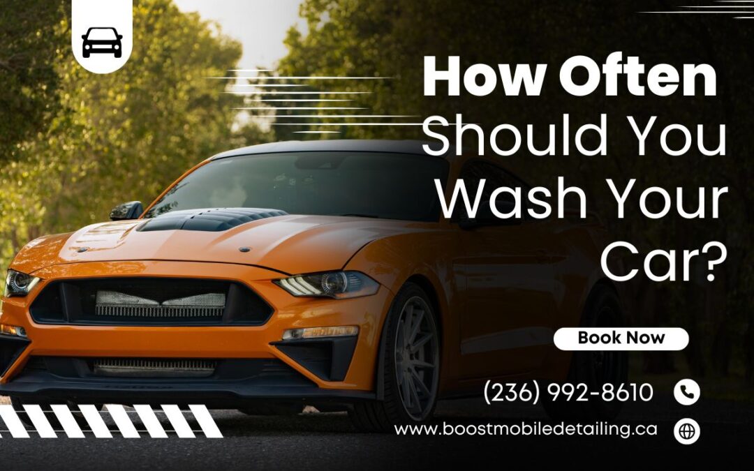 How Often Should You Wash Your Car?