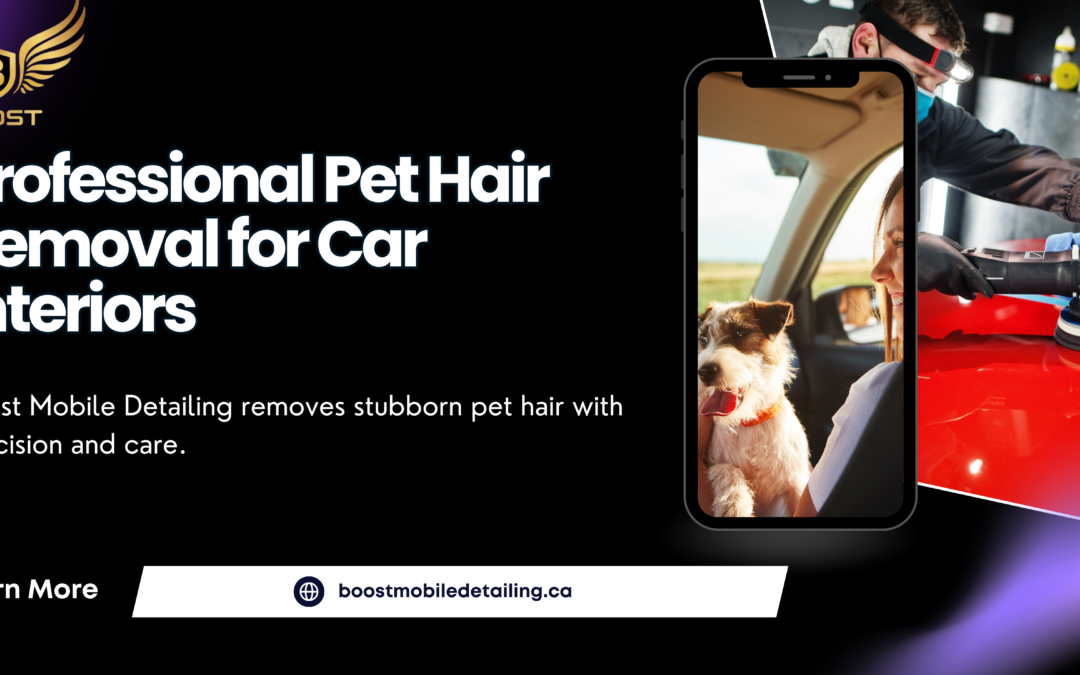 Car seat covered in pet hair with bold text ‘Pet Hair Removal from Car Interiors’ showcasing professional interior detailing services.