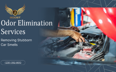 Odor Elimination Services: Removing Stubborn Car Smells
