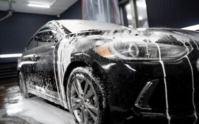 Leather Cleaning and Conditioning: Professional vs DIY